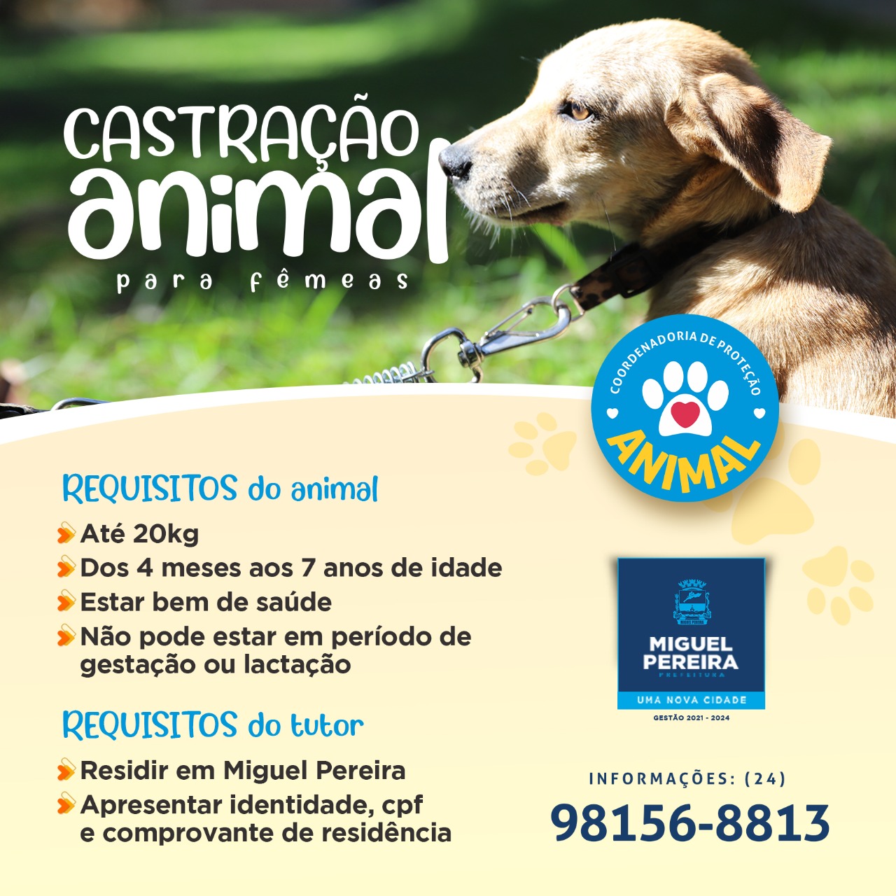 Prefeitura de Miguel Pereira abre cadastro para castração animal
